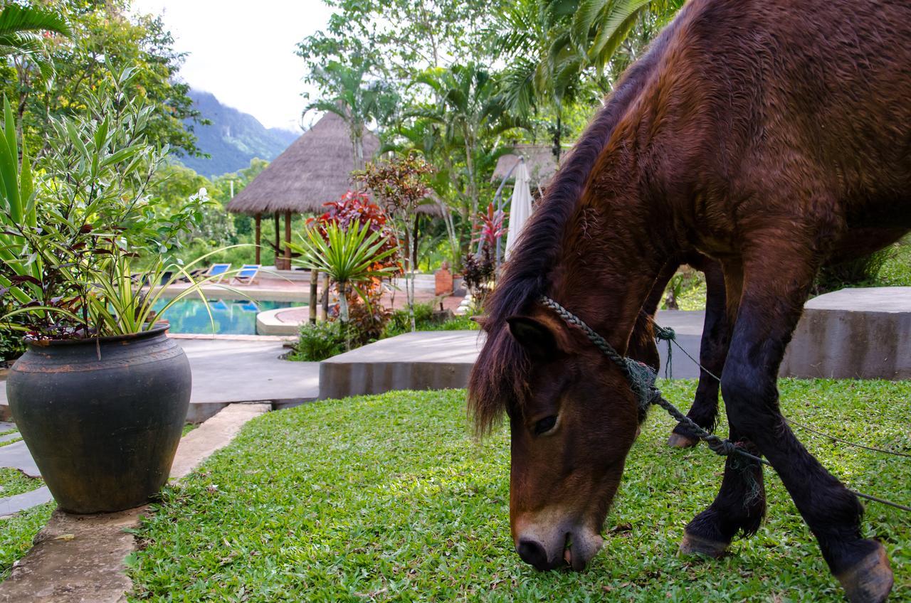 Hillside - Nature Lifestyle Lodge Luang Prabang Exteriör bild